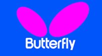 butterfly.jpg